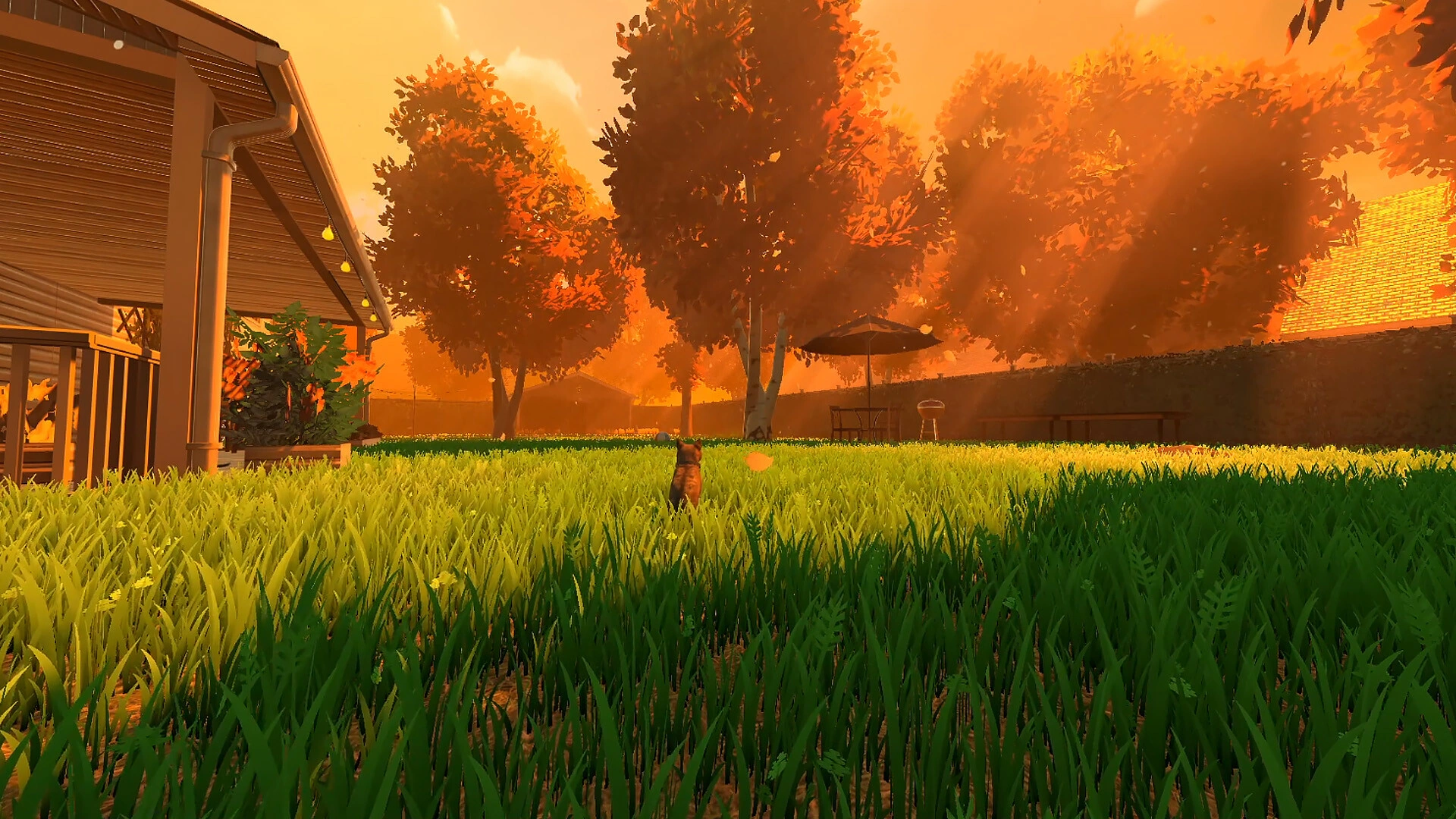 Copycat - screenshot 5