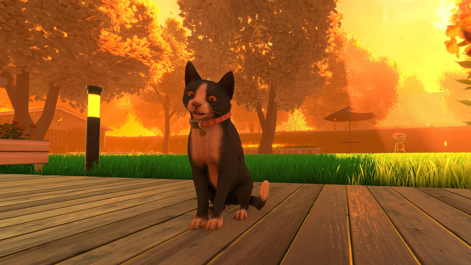 Copycat - screenshot 2