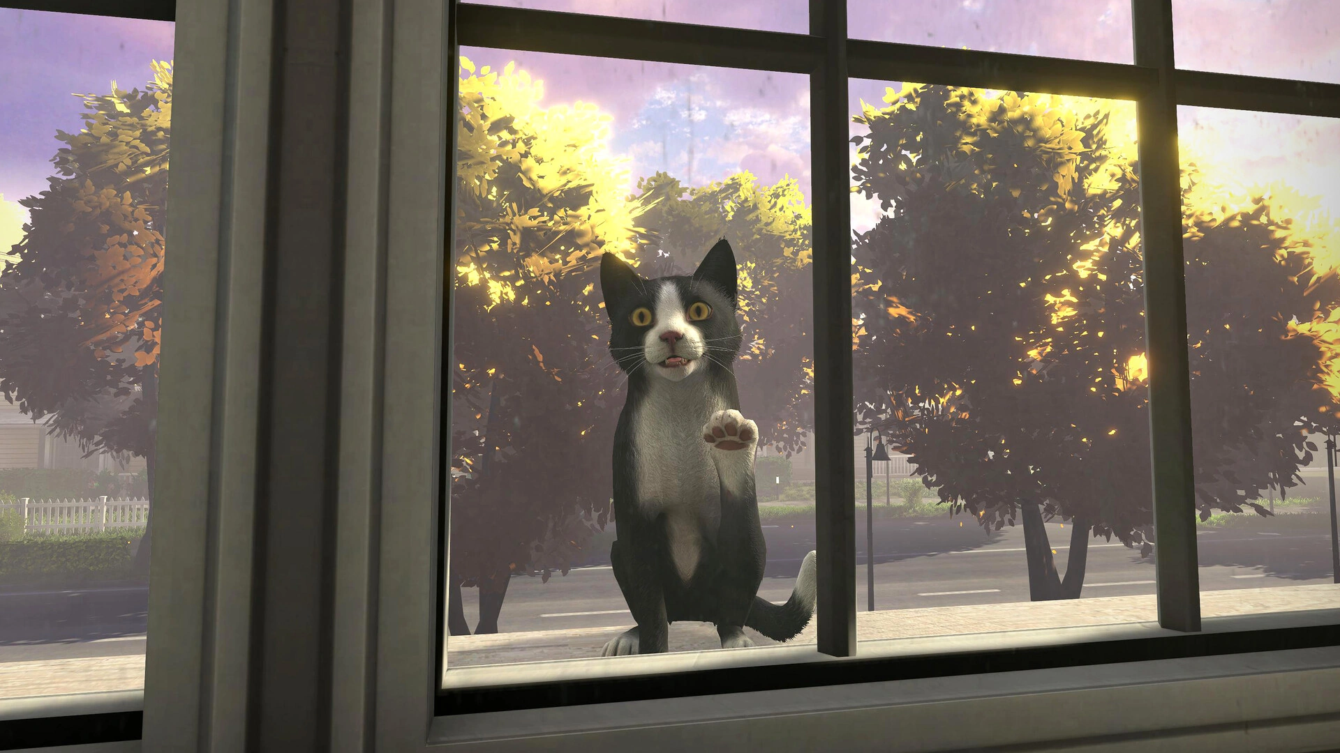 Copycat - screenshot 4
