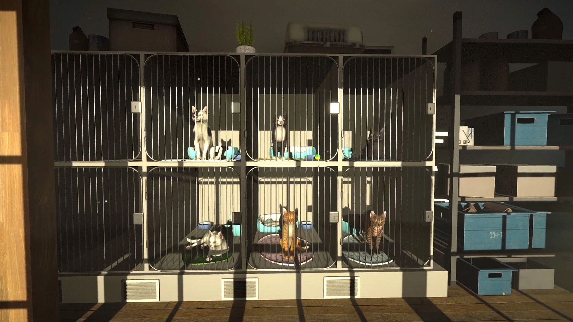 Copycat - screenshot 7