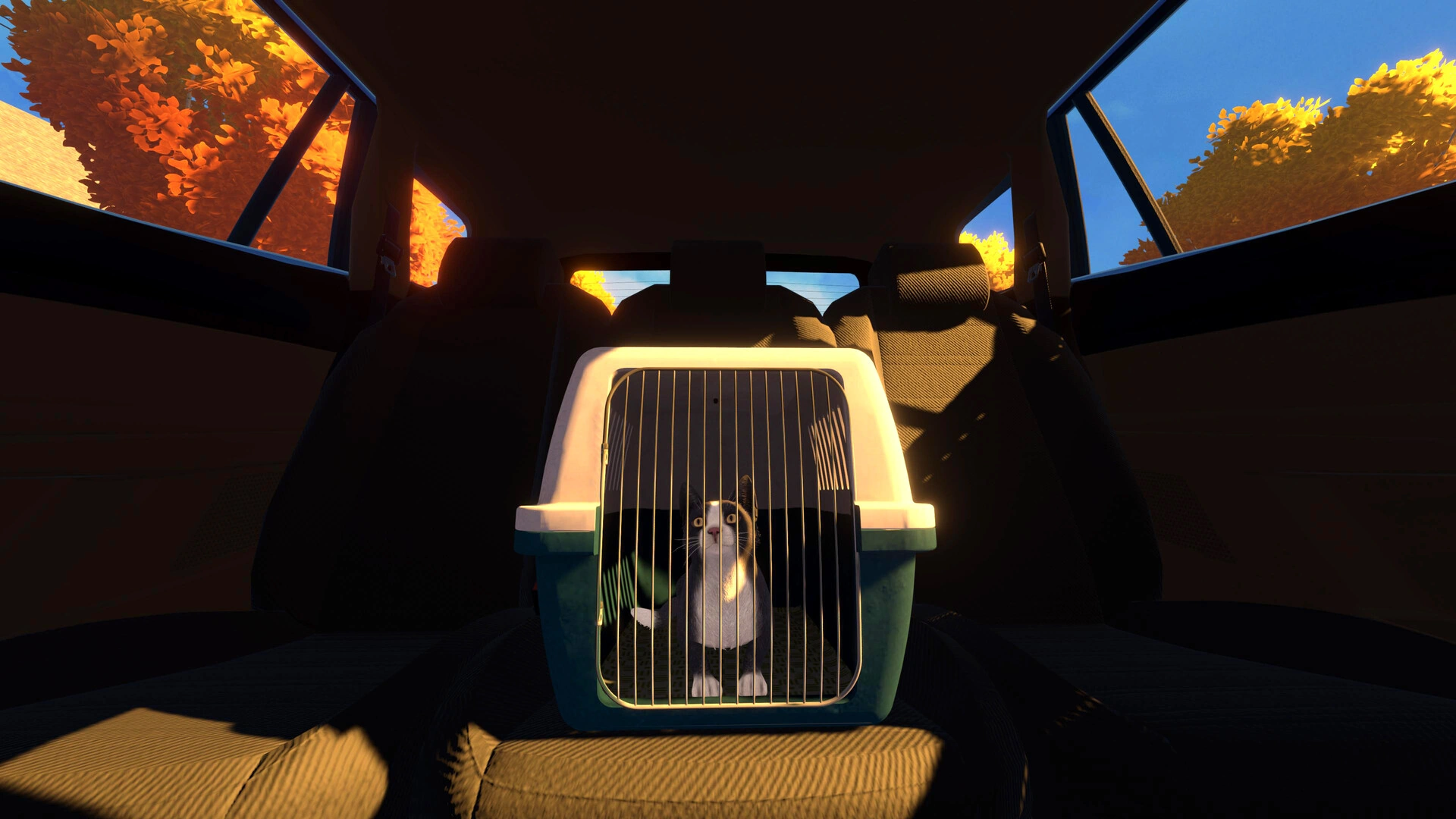 Copycat - screenshot 12