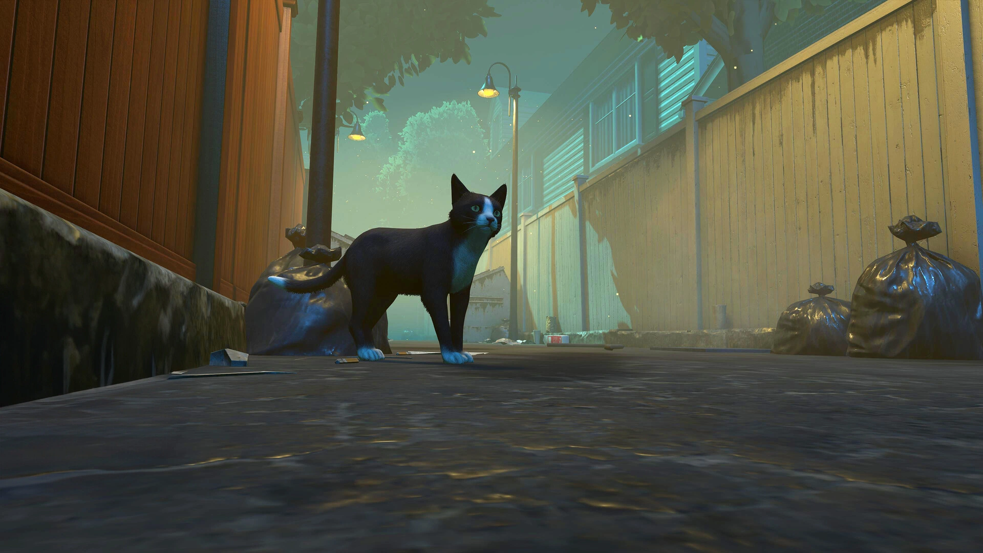 Copycat - screenshot 1
