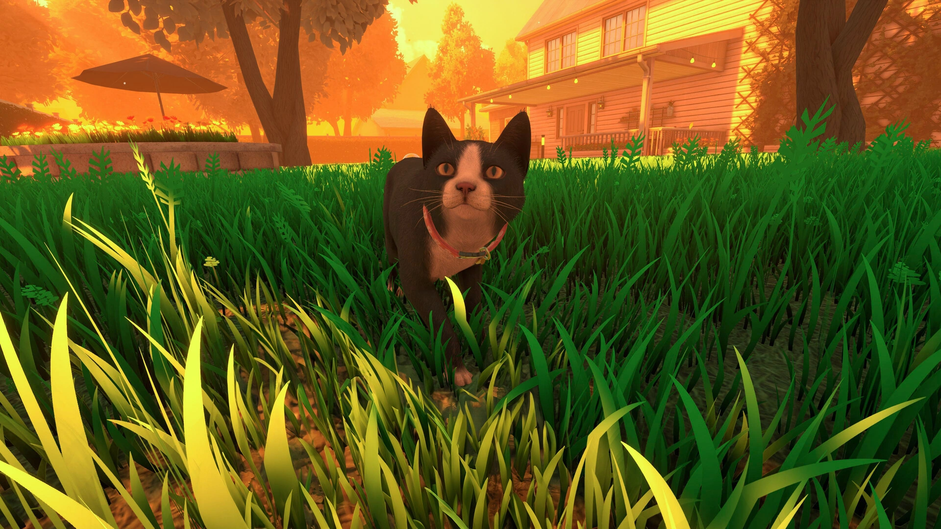 Copycat - screenshot 8
